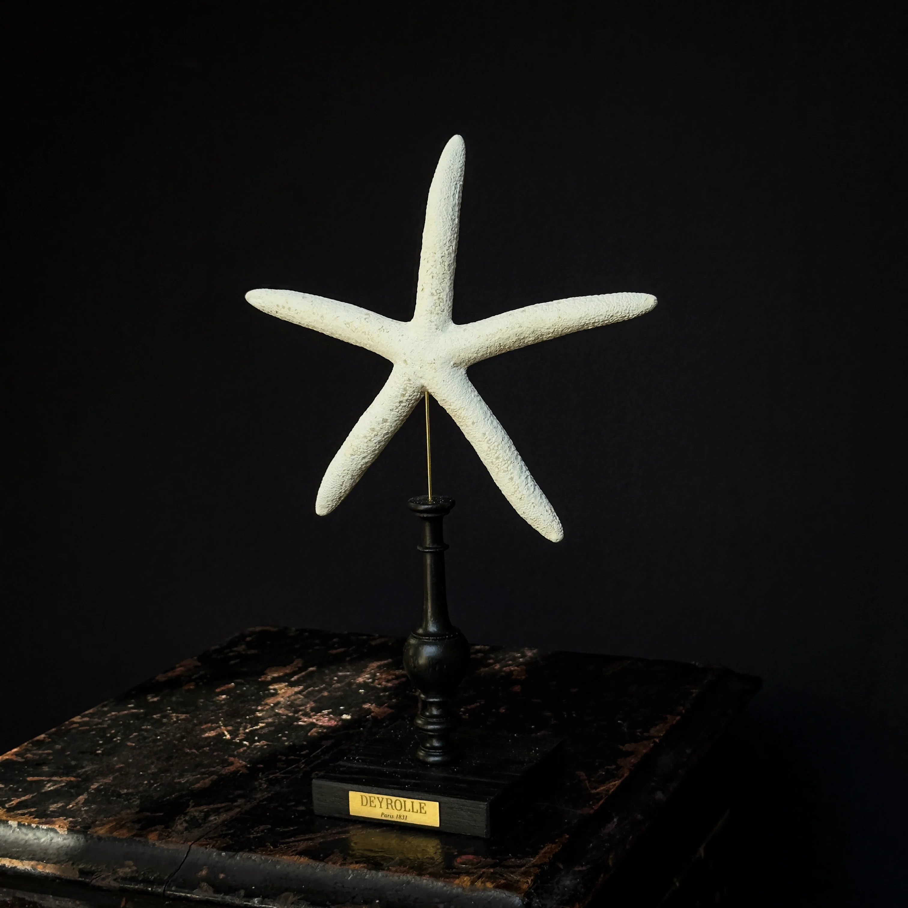 Miniature 1