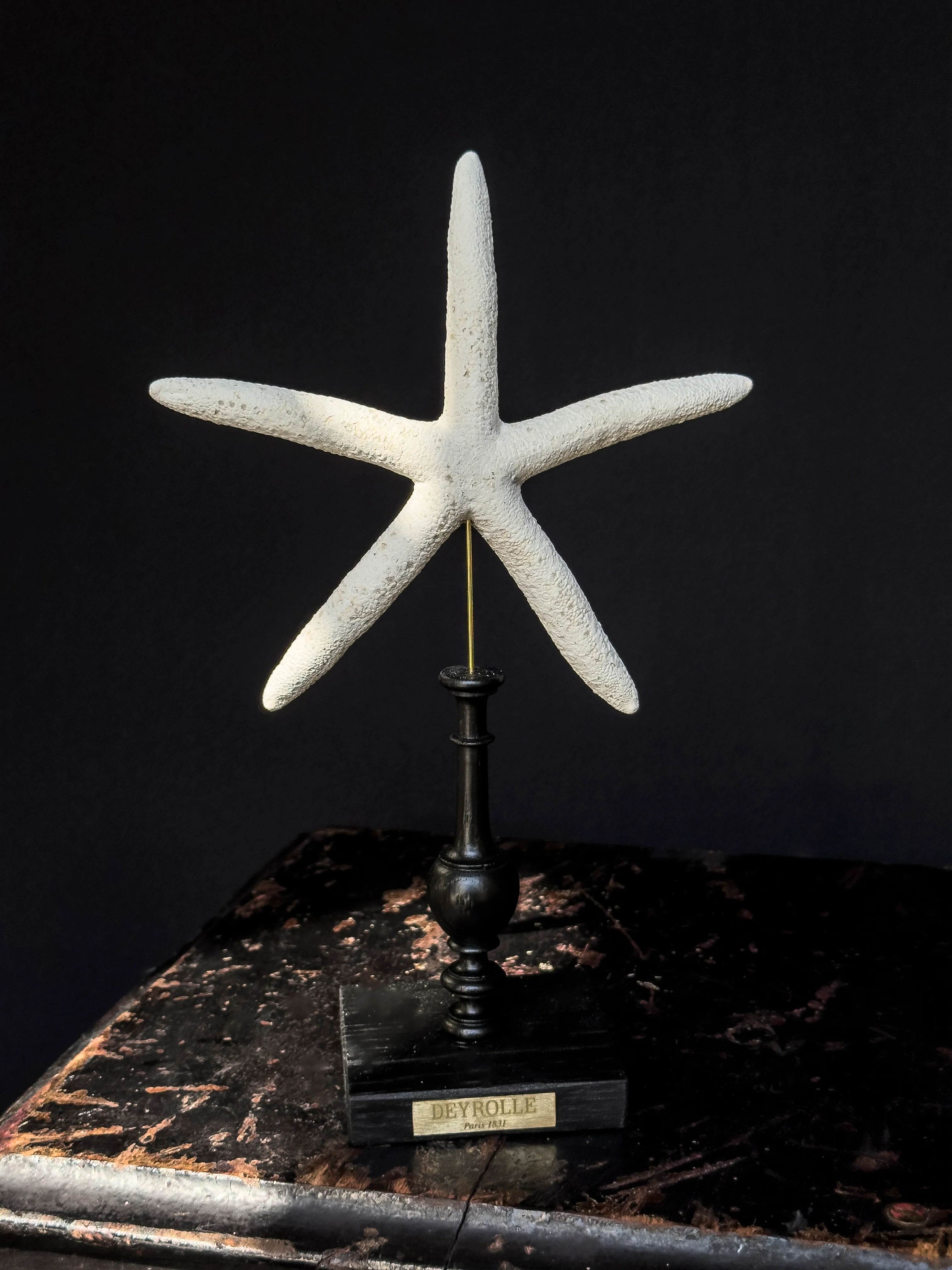 Miniature 2