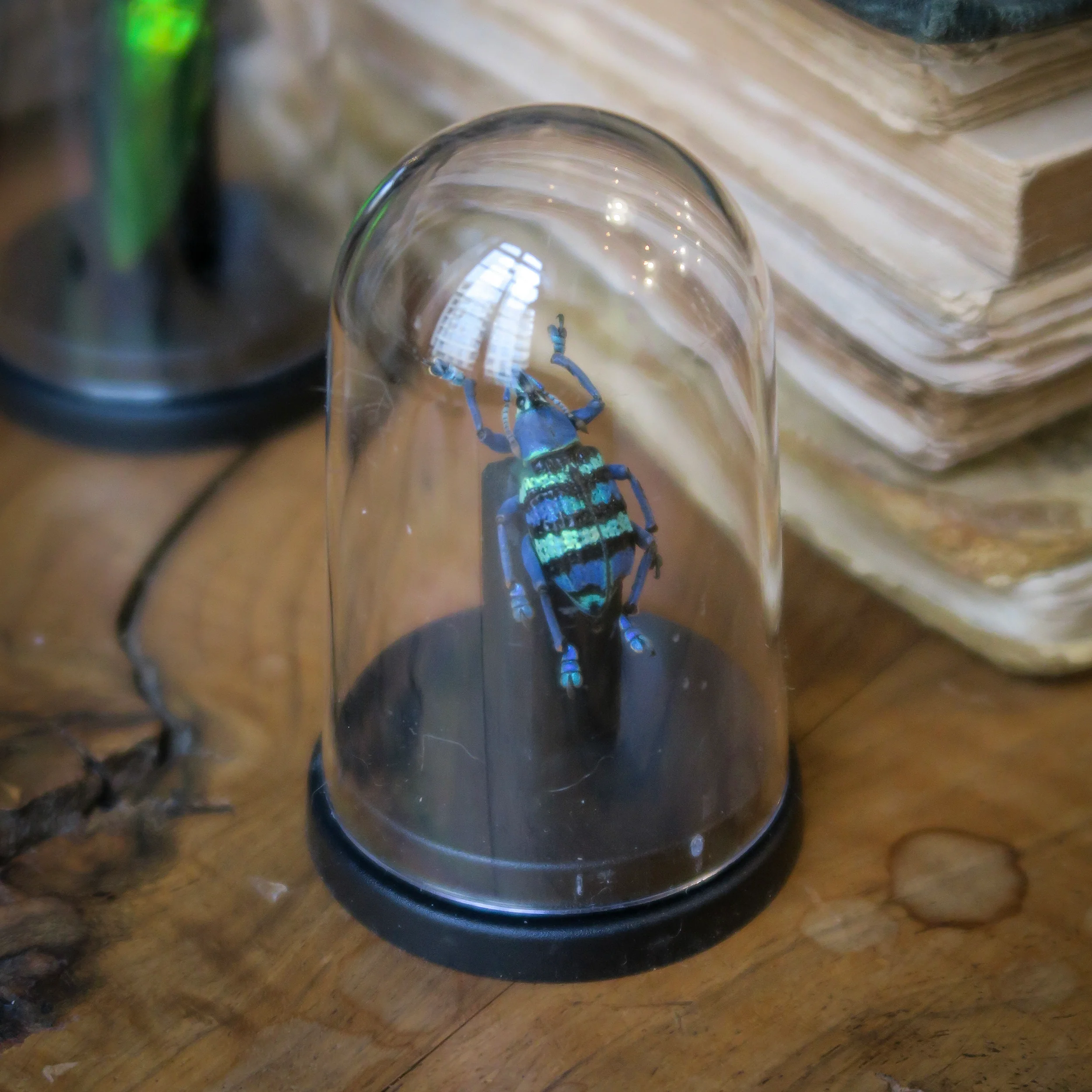 Miniature 1
