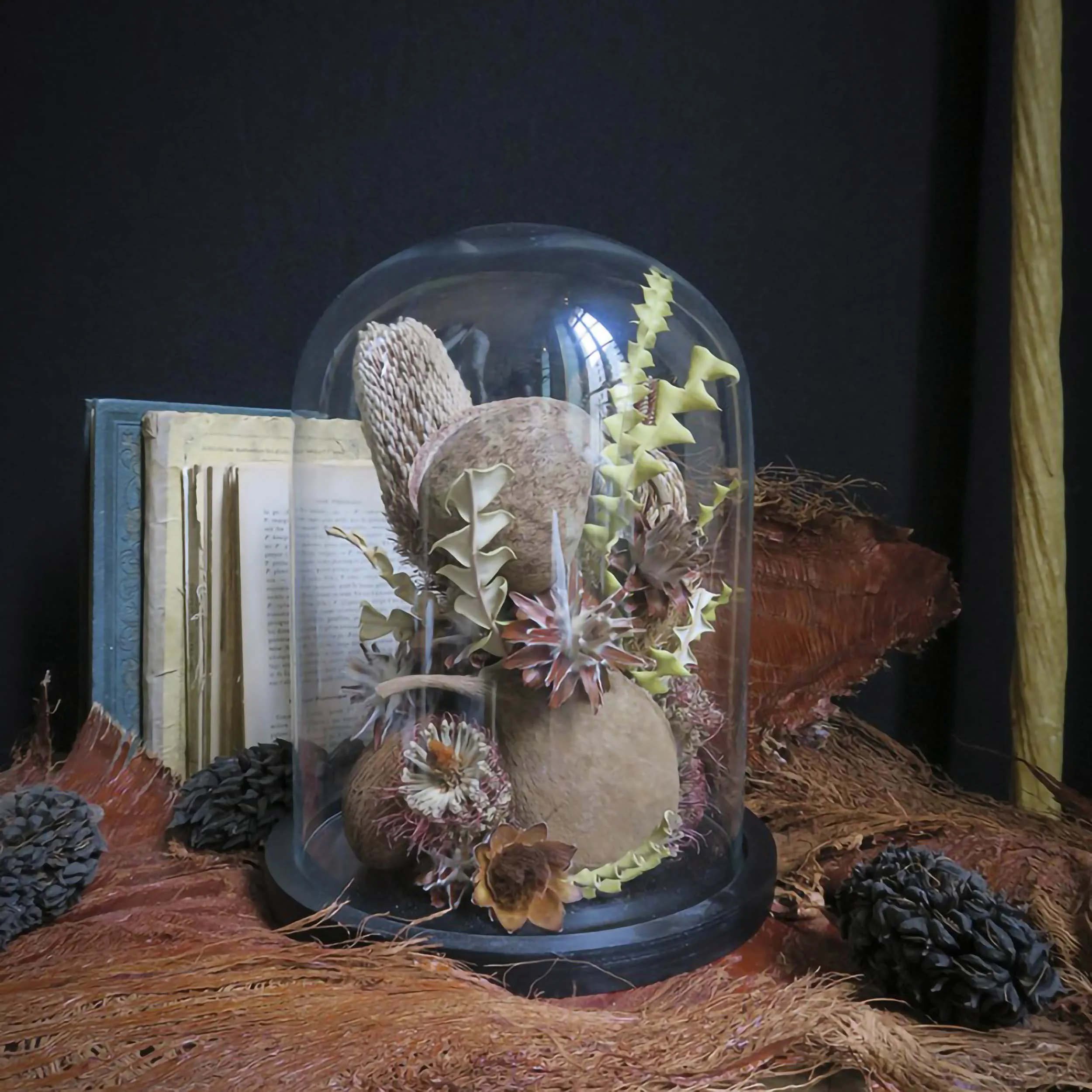 Miniature 1