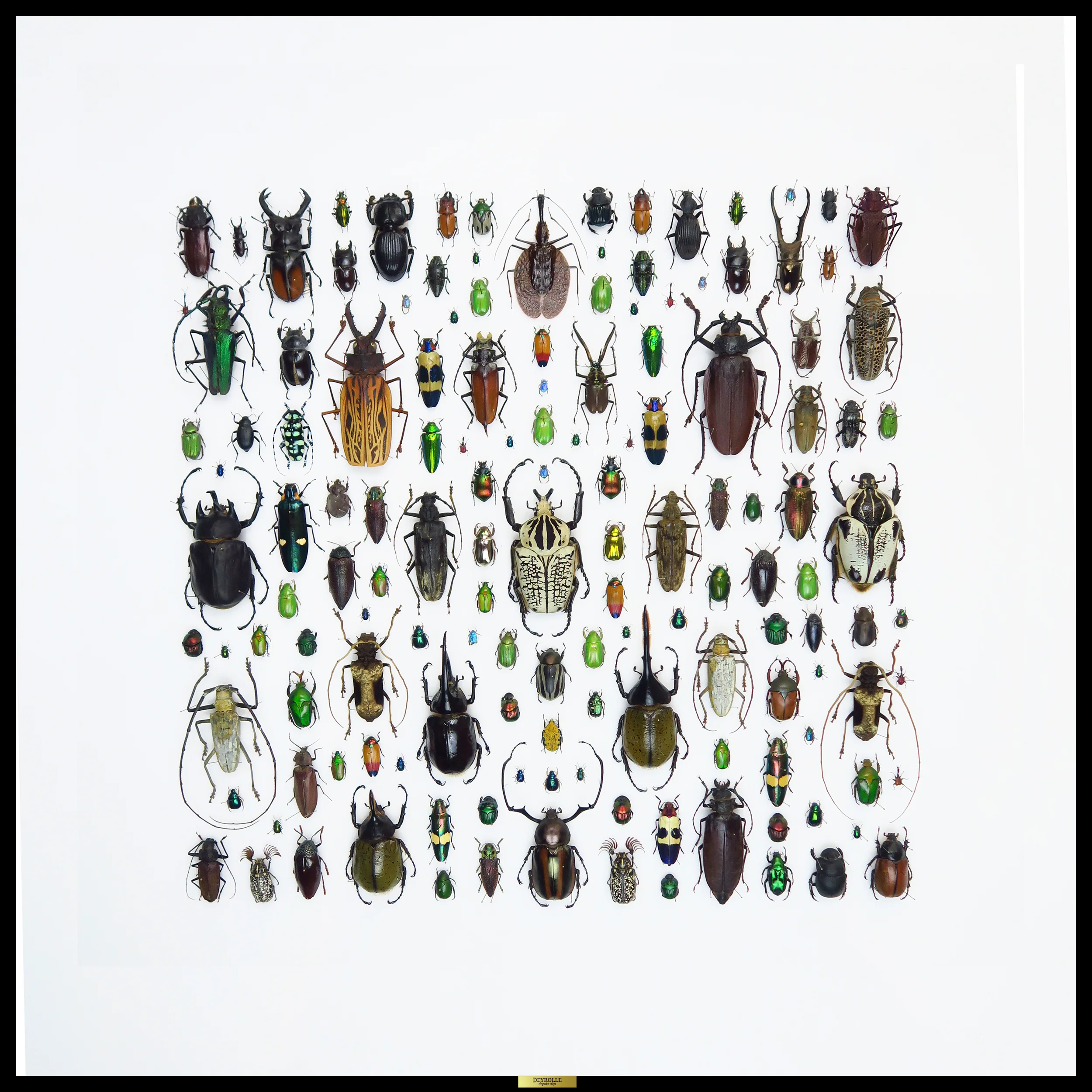 Miniature 1