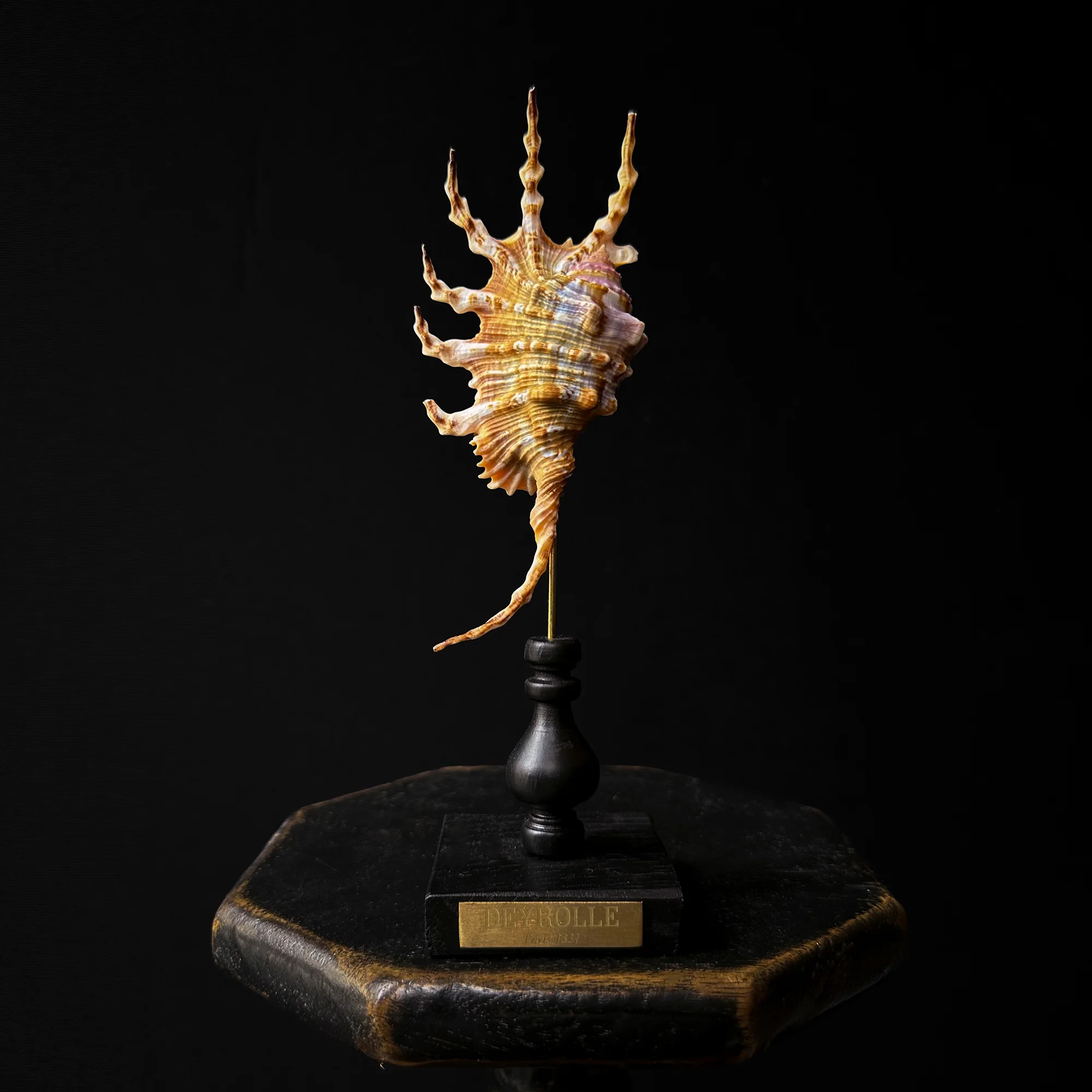 Miniature 2