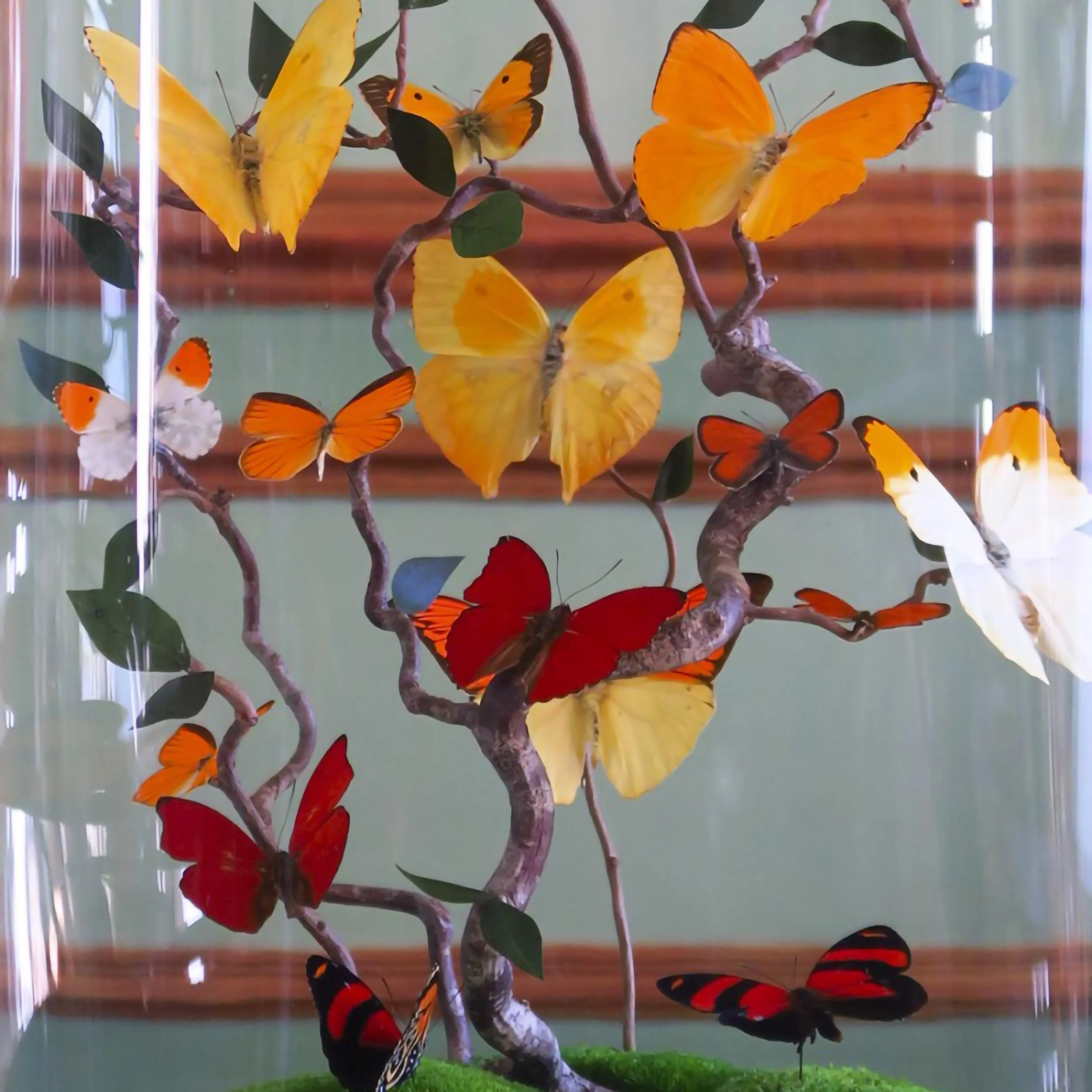 Miniature 2