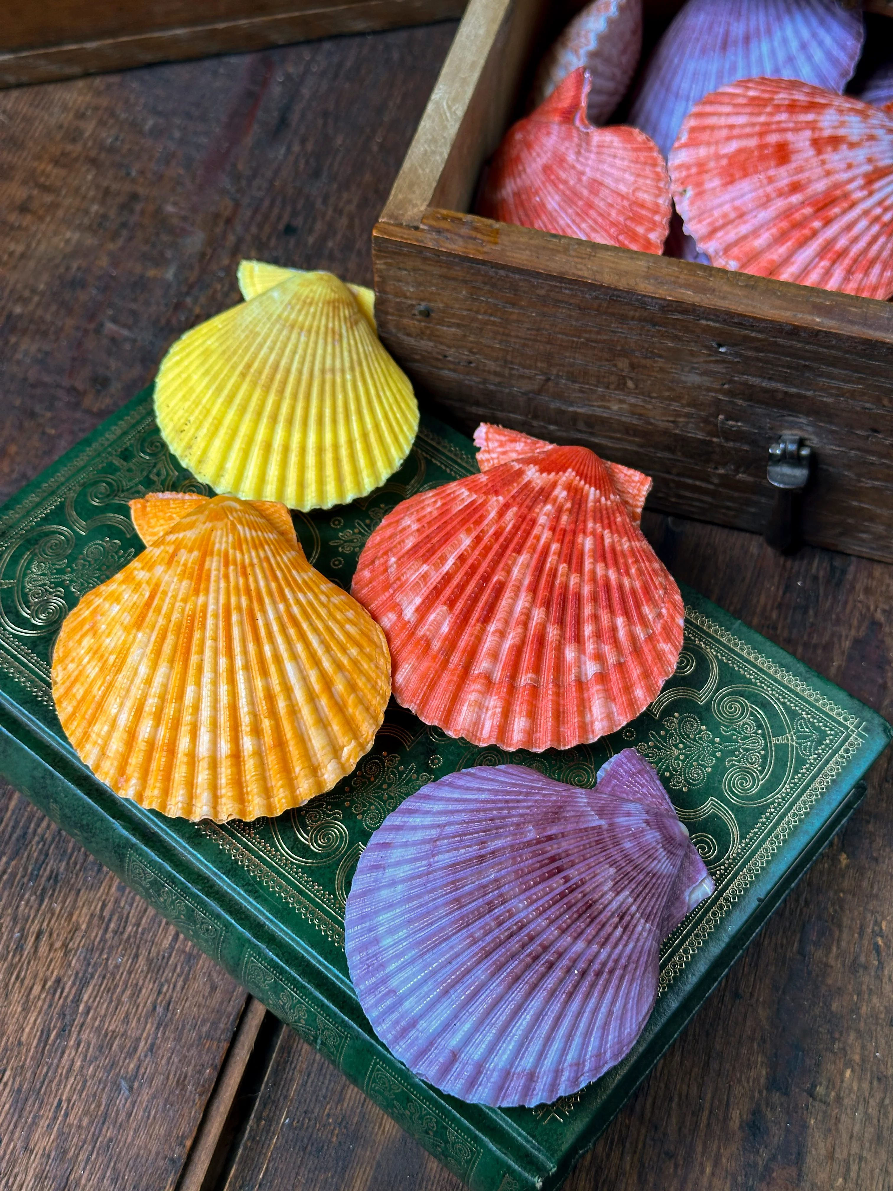 Miniature 1