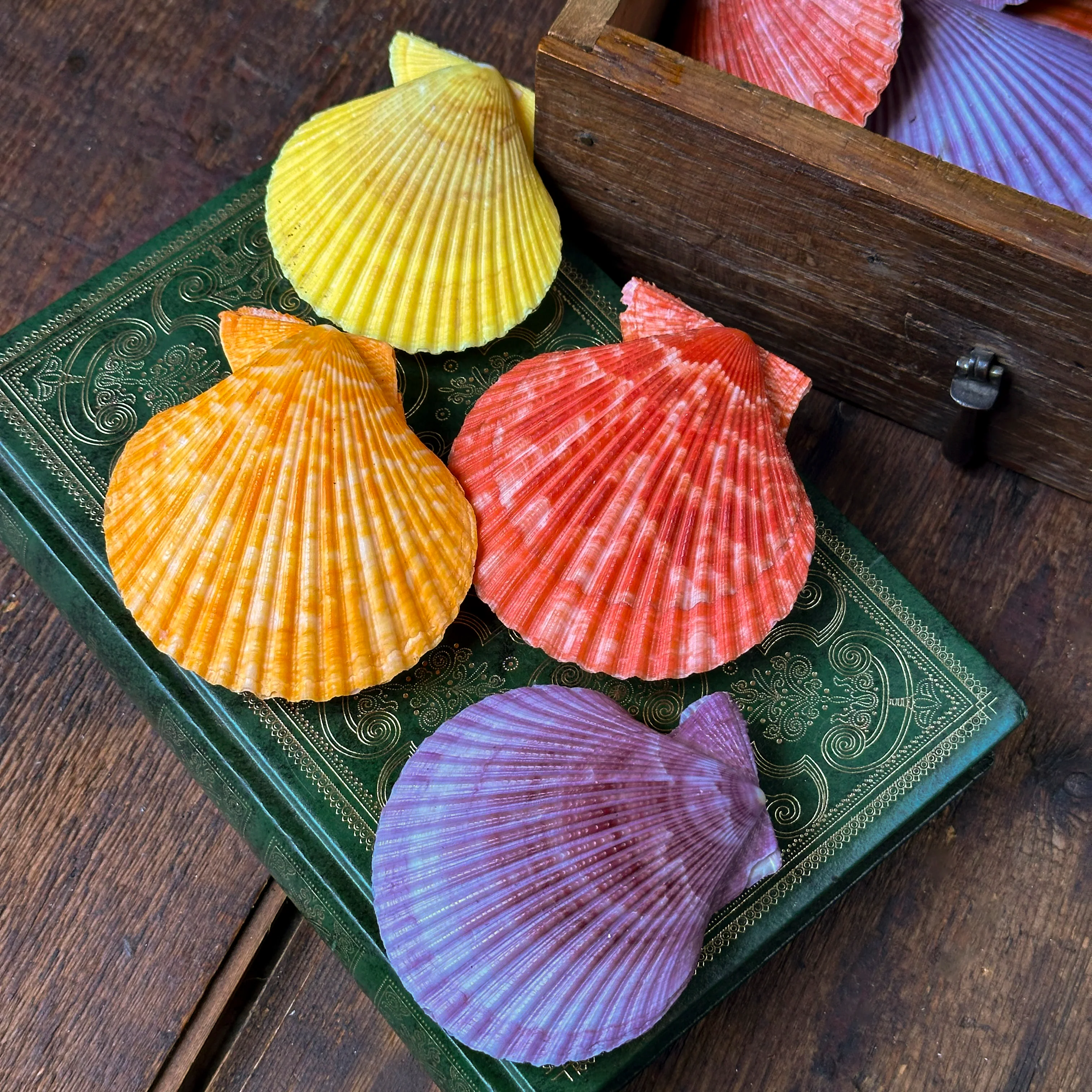 Miniature 2