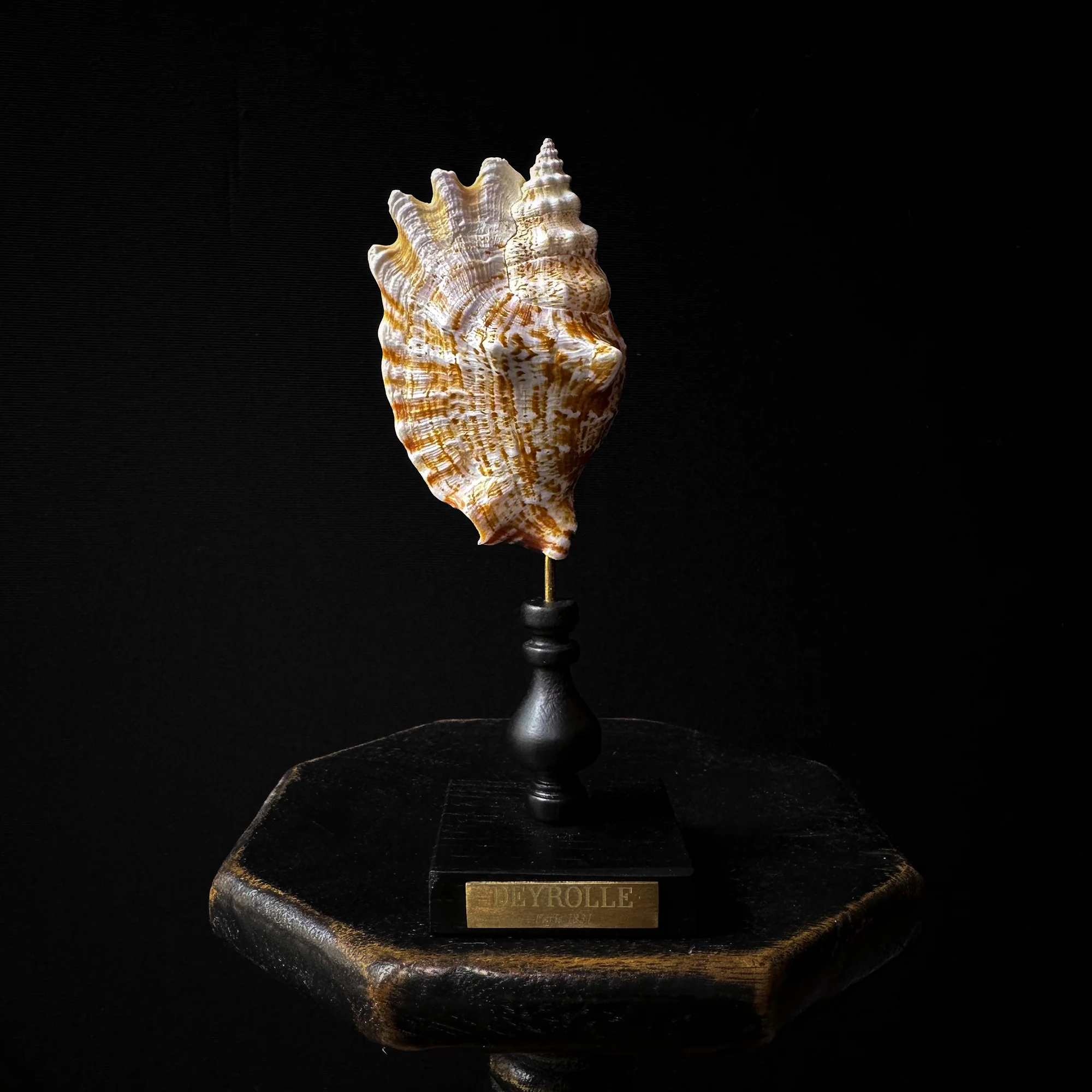 Miniature 2