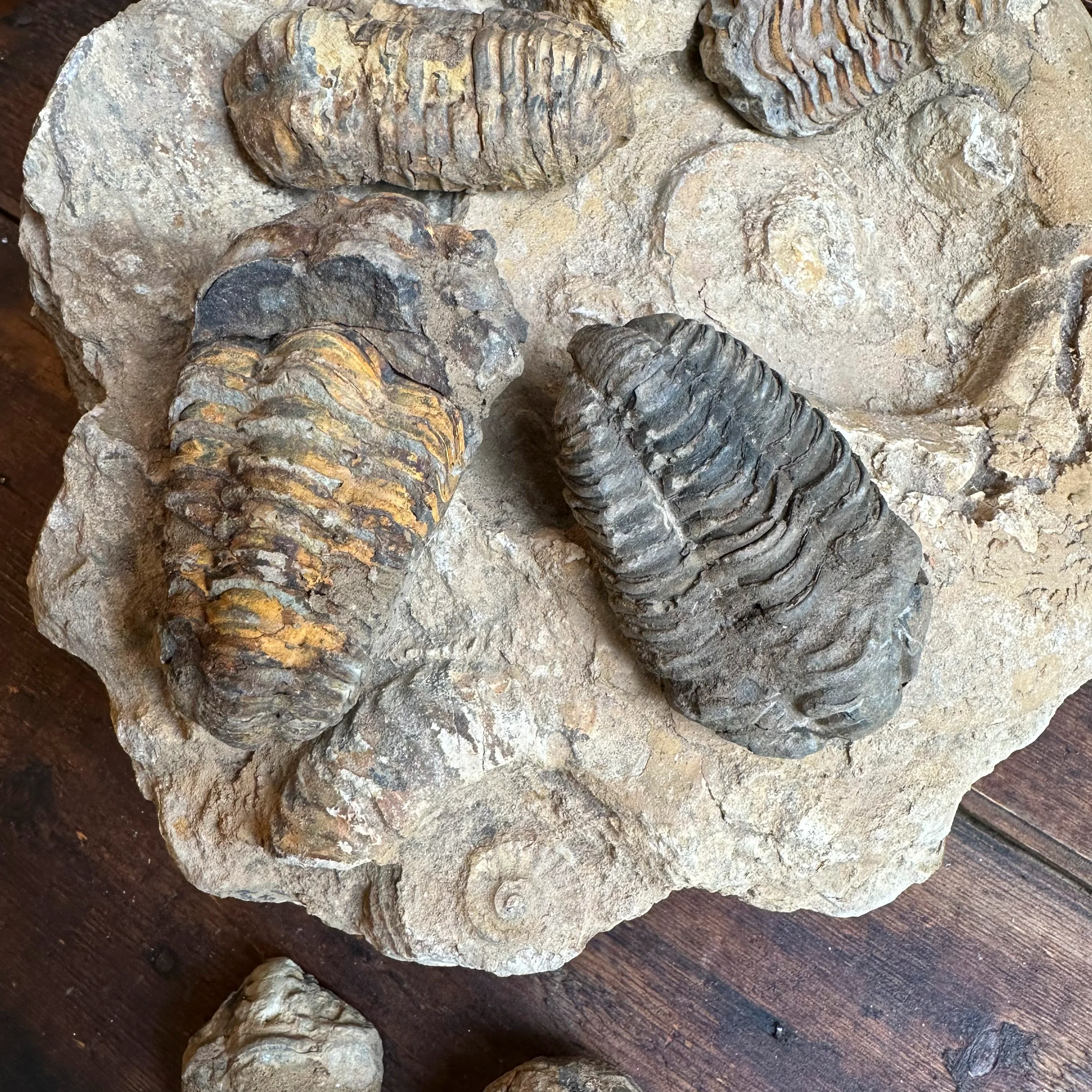 Miniature 1